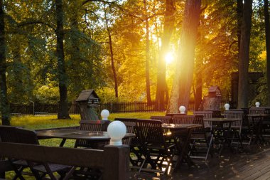 Güneşli bir günde ahşap sandalye ve masa ile sonbahar park Restoran