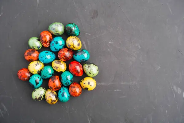 Concept de Pâques avec œufs de caille colorés sur fond gris — Photo