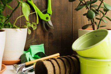 Tencere, bitkiler, Araçlar ev bahçe konseptiyle