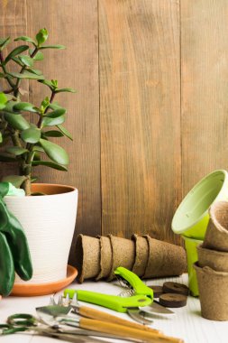 Dikey Bahçe aletleri, tencere ve bitkiler ile vurdu