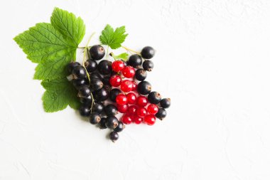 Organik doğal vitamin meyveleri. Beyaz desenli arka planda yeşil yapraklı kırmızı ve siyah frenk üzümü. Boşluğu kopyala