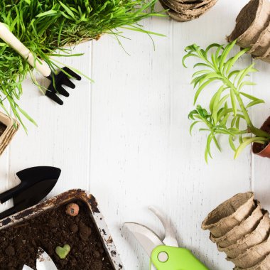 Beyaz ahşap arka planda filizlenmek için çeşitli aksesuarları olan bahçe malzemesi.