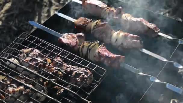 Meat Skewer Grill Coals Smoke Street Food — Stock Video