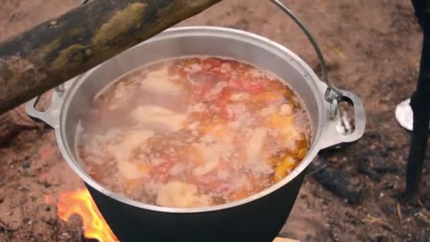 Big couldron with lagman food on open fire. Natural meat and vegetables food on nature — Stock Footage Big Couldron Lagman Food Open Fire Natural Meat Vegetables Food Stock Video