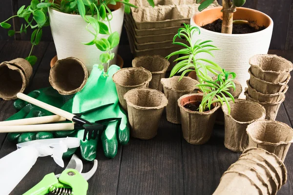 Mady pot yang berbeda dan alat-alat untuk berkebun di meja kayu dengan ruang fotokopi — Stok Foto
