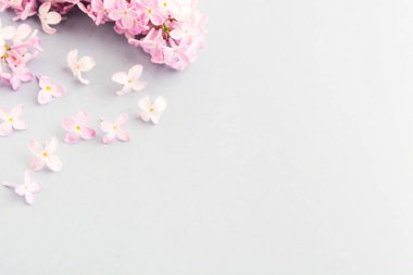 Mor leylak çiçekleri olan güzel bir bahar arkaplanı. Uzayı kopyala Düz yatıyordu. Üst Manzara. Tatil bahar arkaplanı