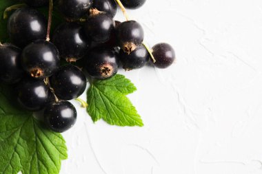 Beyaz desenli arka planda, fotokopi alanı olan sağlıklı organik taze siyah üzümler. Yumuşak odaklanma. Metin için boşluk