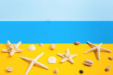 Deniz kabuklarının ve deniz yıldızlarının yakın görüntüsü sarı ve mavi arkaplanda ve kopya alanı var. Seçici odak