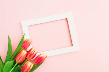 Beyaz ahşap çerçeveli güzel bahar laleleri. Uzayı kopyala Çiçek bayramı sanat tasarımı geçmişi. Metin için boş alan. Bahar indirimi. Düz yatıyordu. Üst görünüm