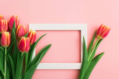 Beyaz ahşap çerçeveli güzel bahar laleleri. Uzayı kopyala Pembe çiçek bayramı sanat tasarımı geçmişi. Metin için boş alan. Bahar indirimi. Düz yatıyordu. Üst görünüm