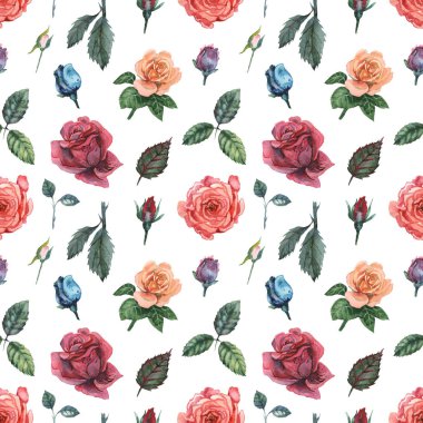 Çiçek ve yaprakları, beyaz arka plan üzerinde izole ile Seamless suluboya modeli