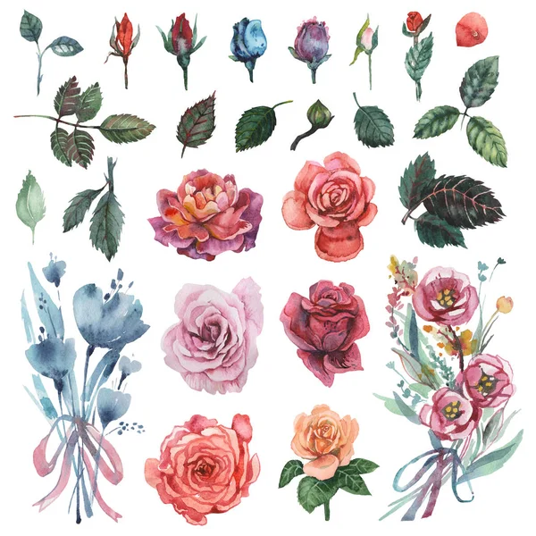 Ručně malované akvarel sada květin, izolované na bílém pozadí — Stock fotografie