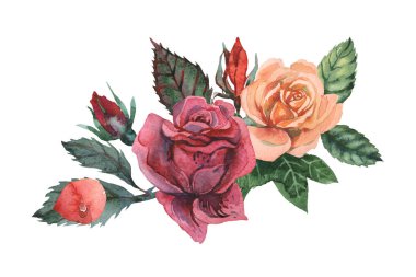 Çiçek ve yaprak suluboya büyüleyici kombinasyonu el boyalı