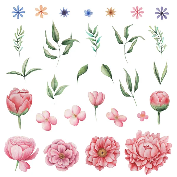 Ručně malované akvarel okouzlující kombinace květin a listí — Stock fotografie