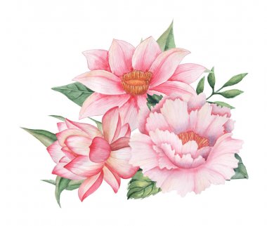 Çiçekler ve yapraklar, beyaz arka plan üzerinde izole suluboya büyüleyici kombinasyonu el boyalı