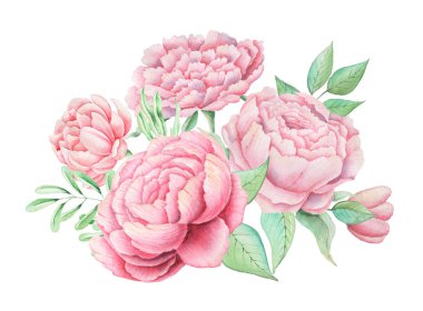 Çiçekler ve yapraklar, beyaz arka plan üzerinde izole suluboya büyüleyici kombinasyonu el boyalı