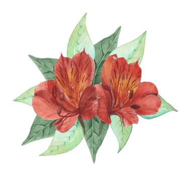 Çiçekler ve yapraklar, beyaz arka plan üzerinde izole suluboya büyüleyici kombinasyonu el boyalı