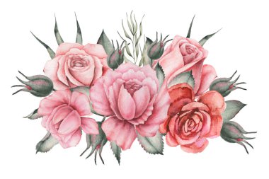 Çiçek ve yaprak beyaz arka plan üzerinde izole suluboya büyüleyici kombinasyonu el boyalı