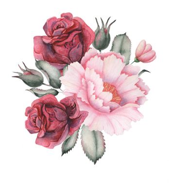 Çiçek ve yaprak beyaz arka plan üzerinde izole suluboya büyüleyici kombinasyonu el boyalı