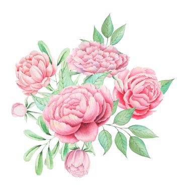 Çiçek ve yaprak beyaz arka plan üzerinde izole suluboya büyüleyici kombinasyonu el boyalı