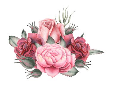 Çiçek ve yaprak beyaz arka plan üzerinde izole suluboya büyüleyici kombinasyonu el boyalı