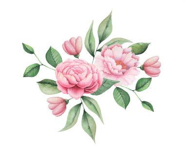 Çiçek ve yaprak beyaz arka plan üzerinde izole suluboya büyüleyici kombinasyonu el boyalı