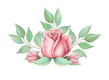 Çiçekler ve yapraklar, beyaz arka plan üzerinde izole suluboya büyüleyici kombinasyonu el boyalı