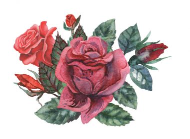 Çiçekler ve yapraklar, beyaz arka plan üzerinde izole suluboya büyüleyici kombinasyonu el boyalı