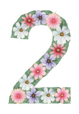 El boyalı suluboya çiçek, beyaz arka plan üzerinde izole bileşimi yapılmış sayı 2.