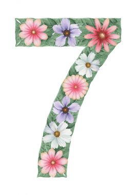 7 numaralı el boyalı suluboya çiçek, beyaz arka plan üzerinde izole bileşimi yapılmış.