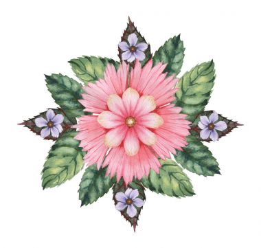 Çiçekler ve yapraklar, beyaz arka plan üzerinde izole suluboya büyüleyici kombinasyonu el boyalı