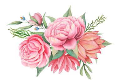 Çiçekler ve yapraklar, beyaz arka plan üzerinde izole suluboya büyüleyici kombinasyonu el boyalı