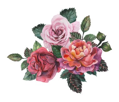 Çiçekler ve yapraklar, beyaz arka plan üzerinde izole suluboya büyüleyici kombinasyonu el boyalı