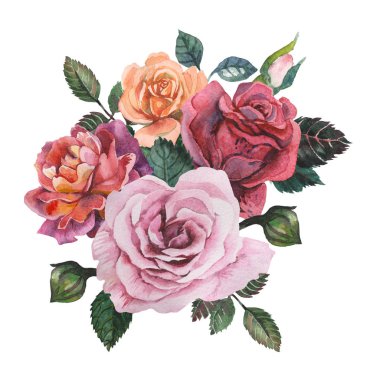 Çiçekler ve yapraklar, beyaz arka plan üzerinde izole suluboya büyüleyici kombinasyonu el boyalı