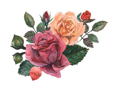 Çiçekler ve yapraklar, beyaz arka plan üzerinde izole suluboya büyüleyici kombinasyonu el boyalı