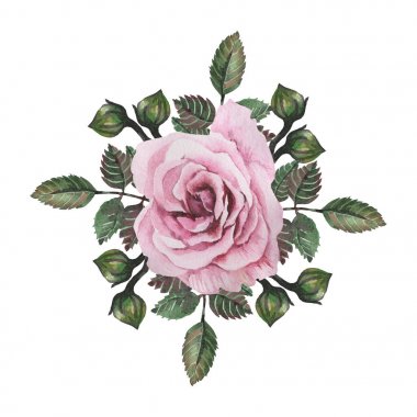 Çiçekler ve yapraklar, beyaz arka plan üzerinde izole suluboya büyüleyici kombinasyonu el boyalı