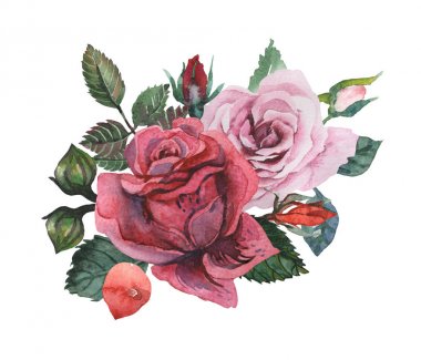 Çiçekler ve yapraklar, beyaz arka plan üzerinde izole suluboya büyüleyici kombinasyonu el boyalı