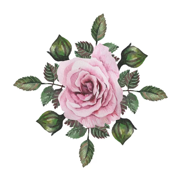 Ręcznie malowane akwarela połączenie uroczych kwiatów i liści na białym tle — Zdjęcie stockowe