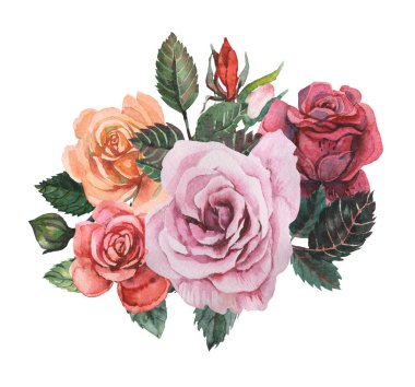 Çiçekler ve yapraklar, beyaz arka plan üzerinde izole suluboya büyüleyici kombinasyonu el boyalı