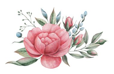 Çiçekler ve yapraklar, beyaz arka plan üzerinde izole suluboya büyüleyici kombinasyonu el boyalı