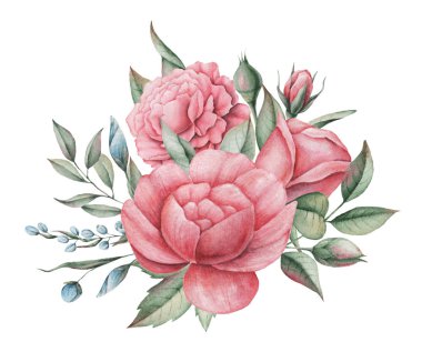 Çiçekler ve yapraklar, beyaz arka plan üzerinde izole suluboya büyüleyici kombinasyonu el boyalı