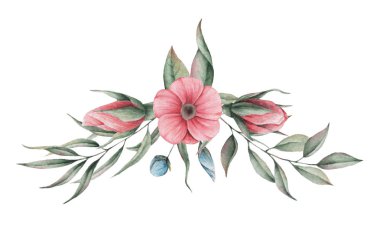 Çiçekler ve yapraklar, beyaz arka plan üzerinde izole suluboya büyüleyici kombinasyonu el boyalı