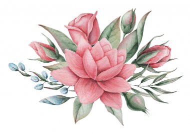 Çiçekler ve yapraklar, beyaz arka plan üzerinde izole suluboya büyüleyici kombinasyonu el boyalı