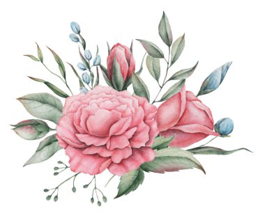 Çiçekler ve yapraklar, beyaz arka plan üzerinde izole suluboya büyüleyici kombinasyonu el boyalı