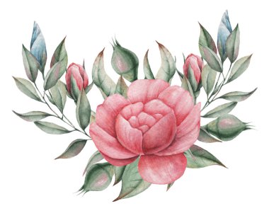 Çiçekler ve yapraklar, beyaz arka plan üzerinde izole suluboya büyüleyici kombinasyonu el boyalı