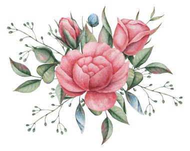 Çiçekler ve yapraklar, beyaz arka plan üzerinde izole suluboya büyüleyici kombinasyonu el boyalı