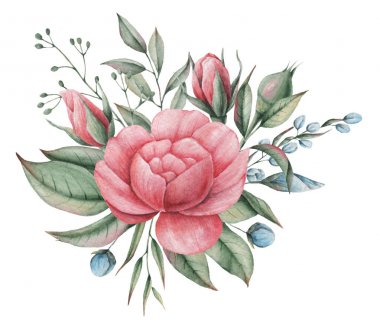 Çiçekler ve yapraklar, beyaz arka plan üzerinde izole suluboya büyüleyici kombinasyonu el boyalı