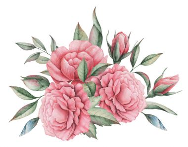 Çiçekler ve yapraklar, beyaz arka plan üzerinde izole suluboya büyüleyici kombinasyonu el boyalı