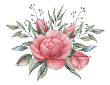 Çiçekler ve yapraklar, beyaz arka plan üzerinde izole suluboya büyüleyici kombinasyonu el boyalı