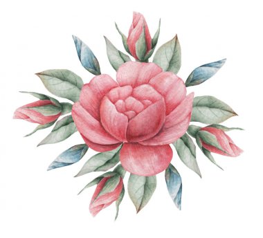 Çiçekler ve yapraklar, beyaz arka plan üzerinde izole suluboya büyüleyici kombinasyonu el boyalı